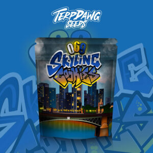Terpdawg Seeds - 069 Skyline Cookies 3 Samen