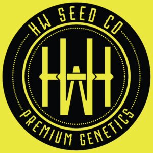 HW Seed Company Ultra Violet Photoperiod 4 Samen
