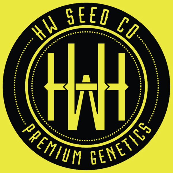 HW Seed Company Ultra Violet Photoperiod 4 Samen