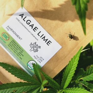Algea Lime
