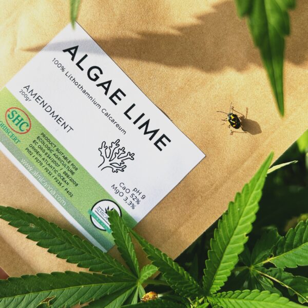 Algea Lime