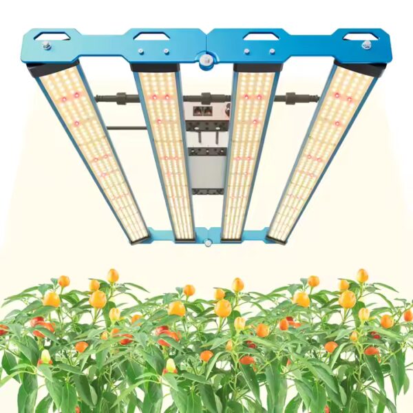 Kingbrite P55 320W