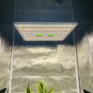 Kingbrite 150W Quantumboard