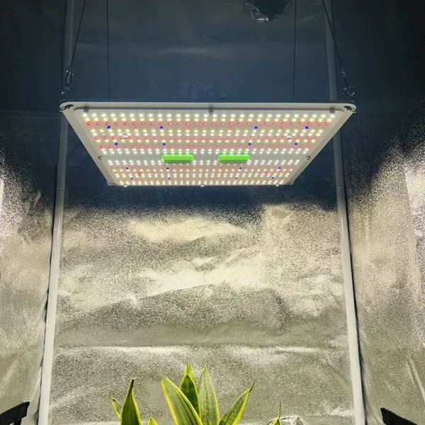 Kingbrite 150W Quantumboard