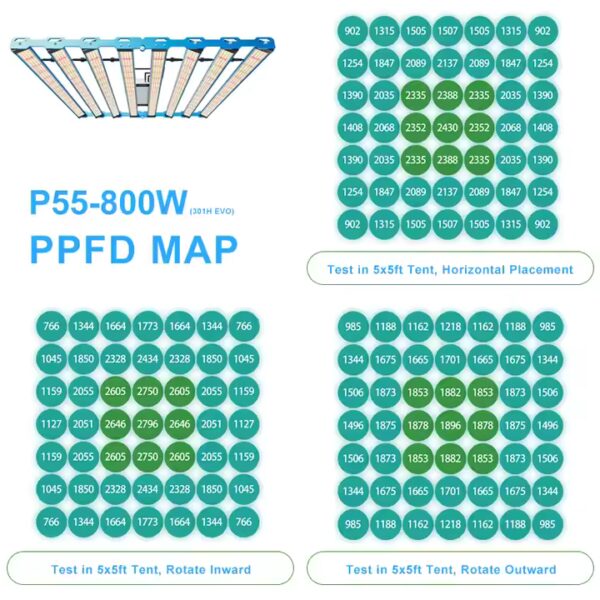 Kingbrite P55 800W – Bild 6