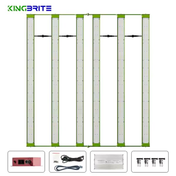 Kingbrite P55 480W – Bild 2