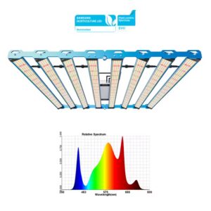 Kingbrite P55 800W