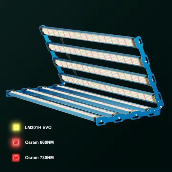 Kingbrite P55 800W – Bild 2