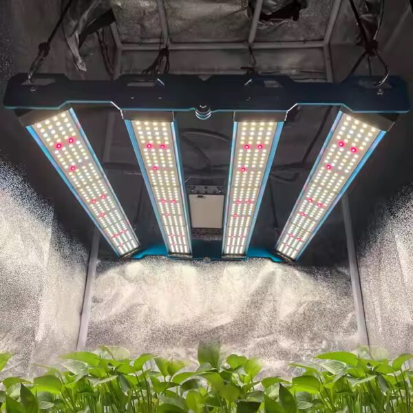 Kingbrite P55 240W – Bild 4