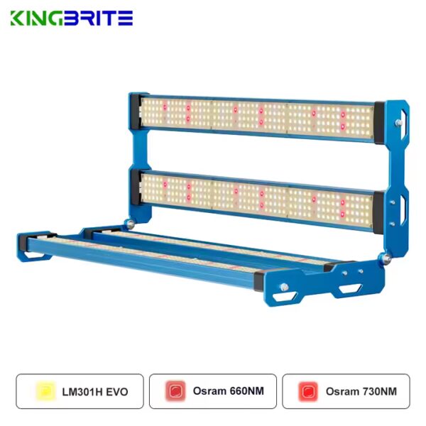 Kingbrite P55 240W – Bild 2