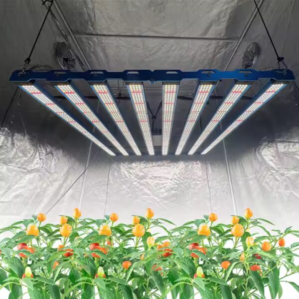 Kingbrite P55 800W – Bild 4