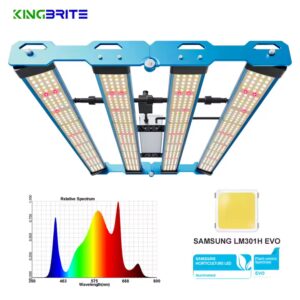 Kingbrite P55 240W
