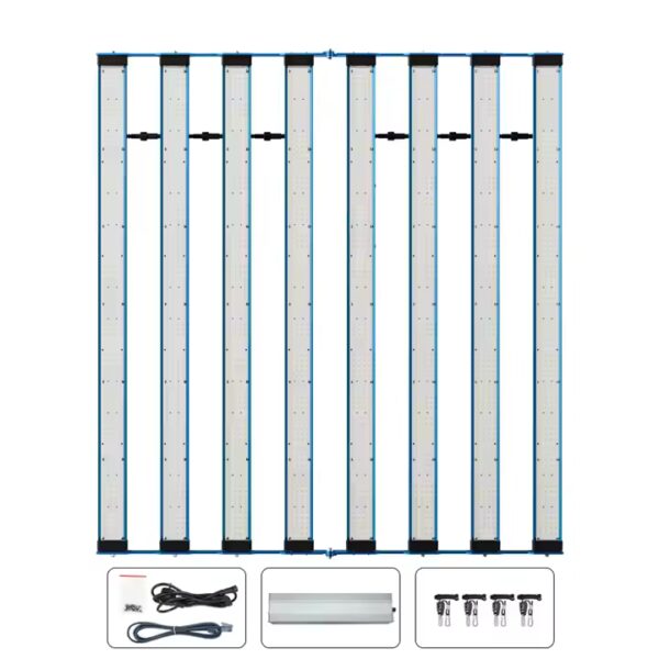 Kingbrite P55 800W – Bild 5