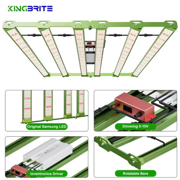 Kingbrite P55 480W – Bild 5