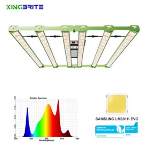 Kingbrite P55 480W