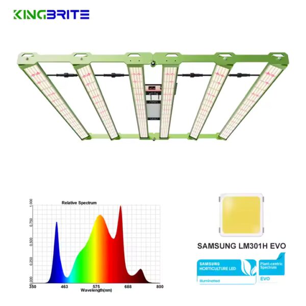 Kingbrite P55 480W