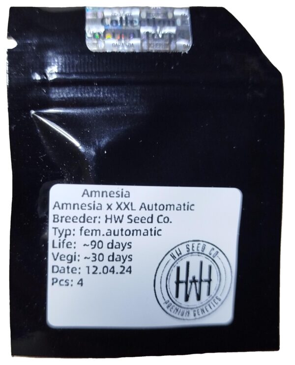 HW Seed Company Amnesia Automatic 4 Samen – Bild 2