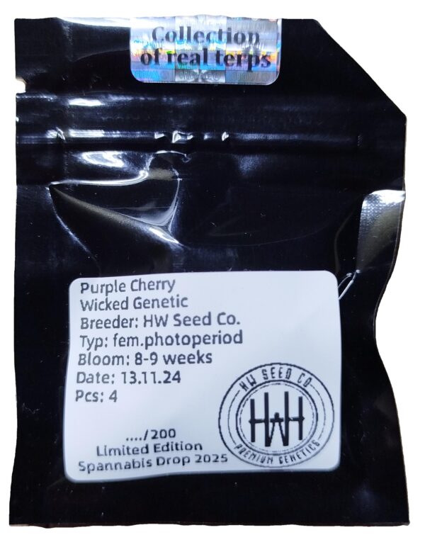 HW Seed Company Purple Cherry Photoperiod 4 Samen – Bild 2