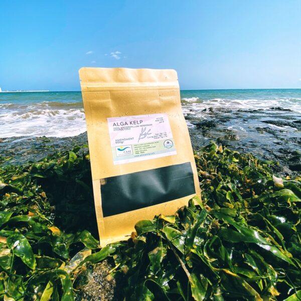 Bio Alga Kelp hydrolysiert 200g