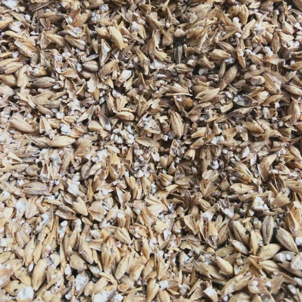 Bio Malted Barley – Bild 2