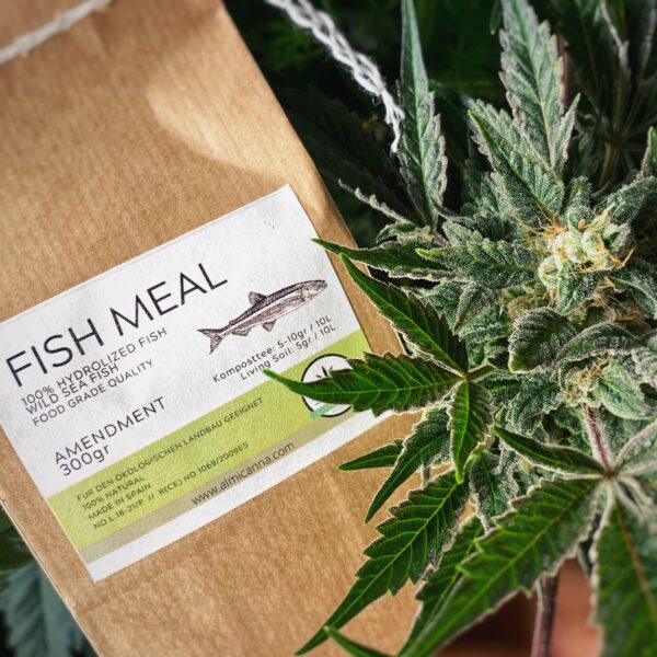 Fish Meal