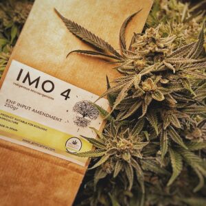 IMO 4