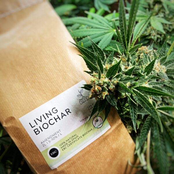 Living Biochar Pflanzenkohle