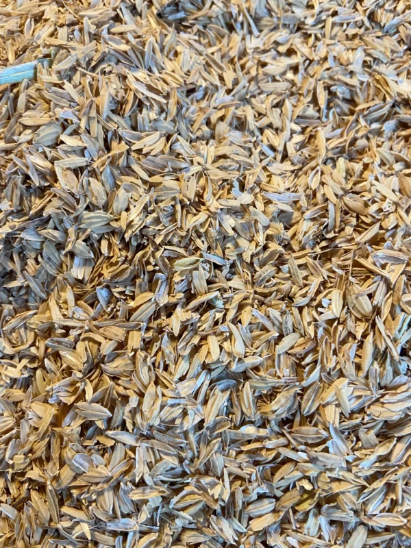 Bio Rice Husks / Reishülsen 10L – Bild 2
