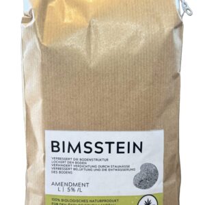 Bimsstein 2L