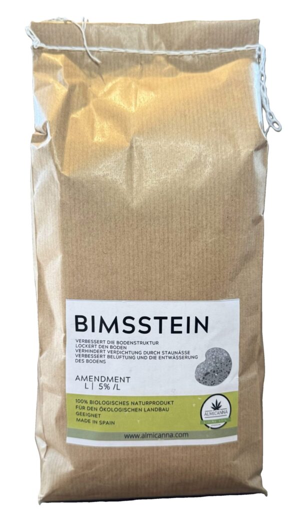 Bimsstein 2L