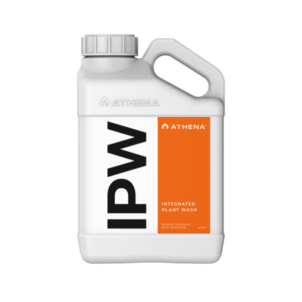 Athena IPW