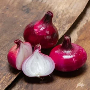 Zwiebel Geneva Red Samen 2g