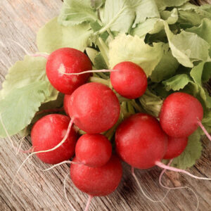 Rudi Radieschensamen 6g