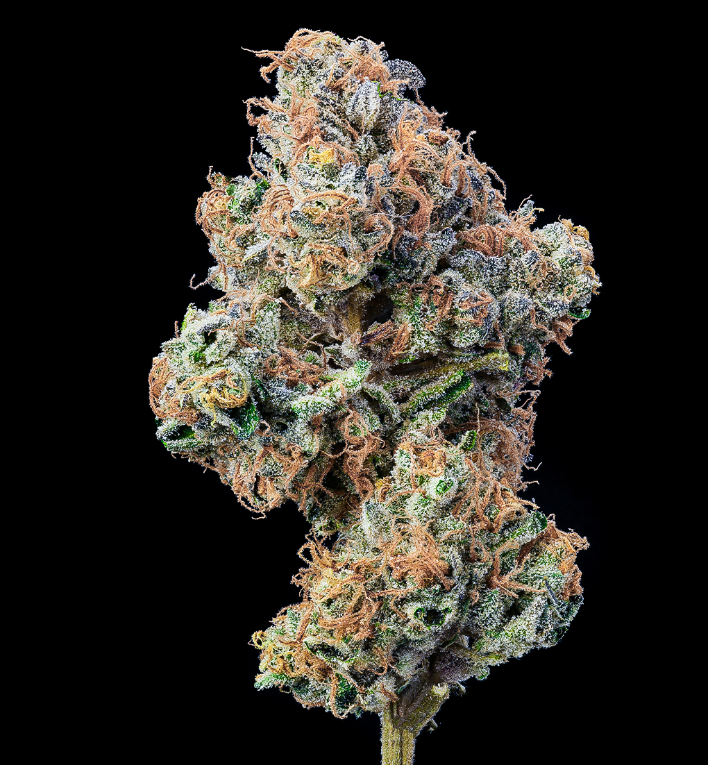 Zecret Flavorz - ZYANCALIZ – Bild 2